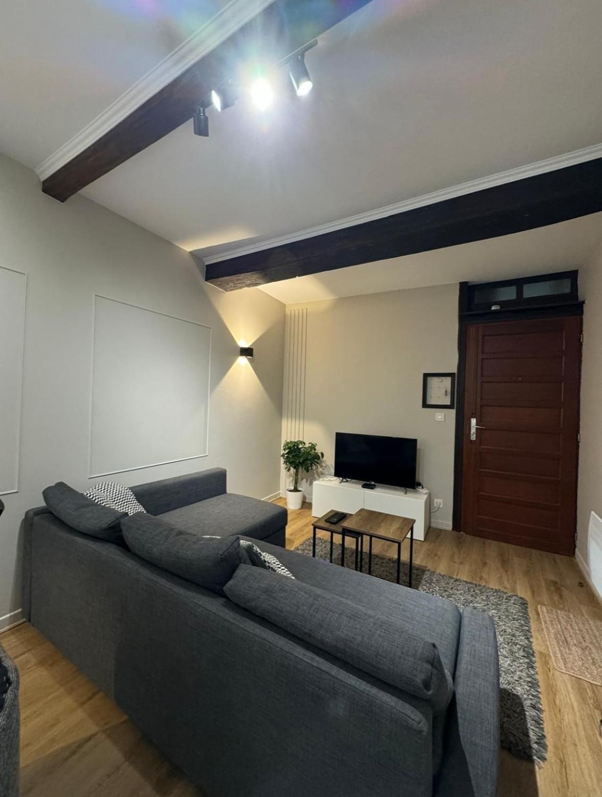 Appartement Charmant Hypercentre Avec Patio Prive Et Parking Orléans Eksteriør billede