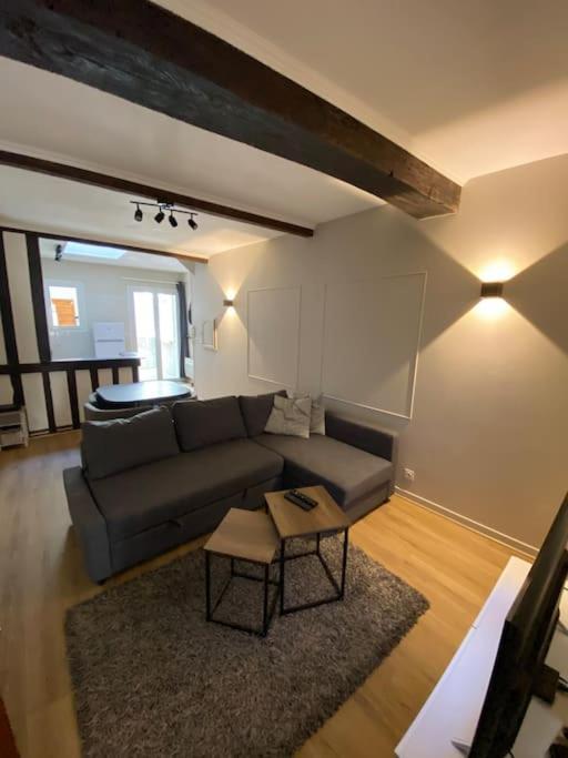 Appartement Charmant Hypercentre Avec Patio Prive Et Parking Orléans Eksteriør billede